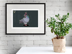 Pigeon By Nick Hills