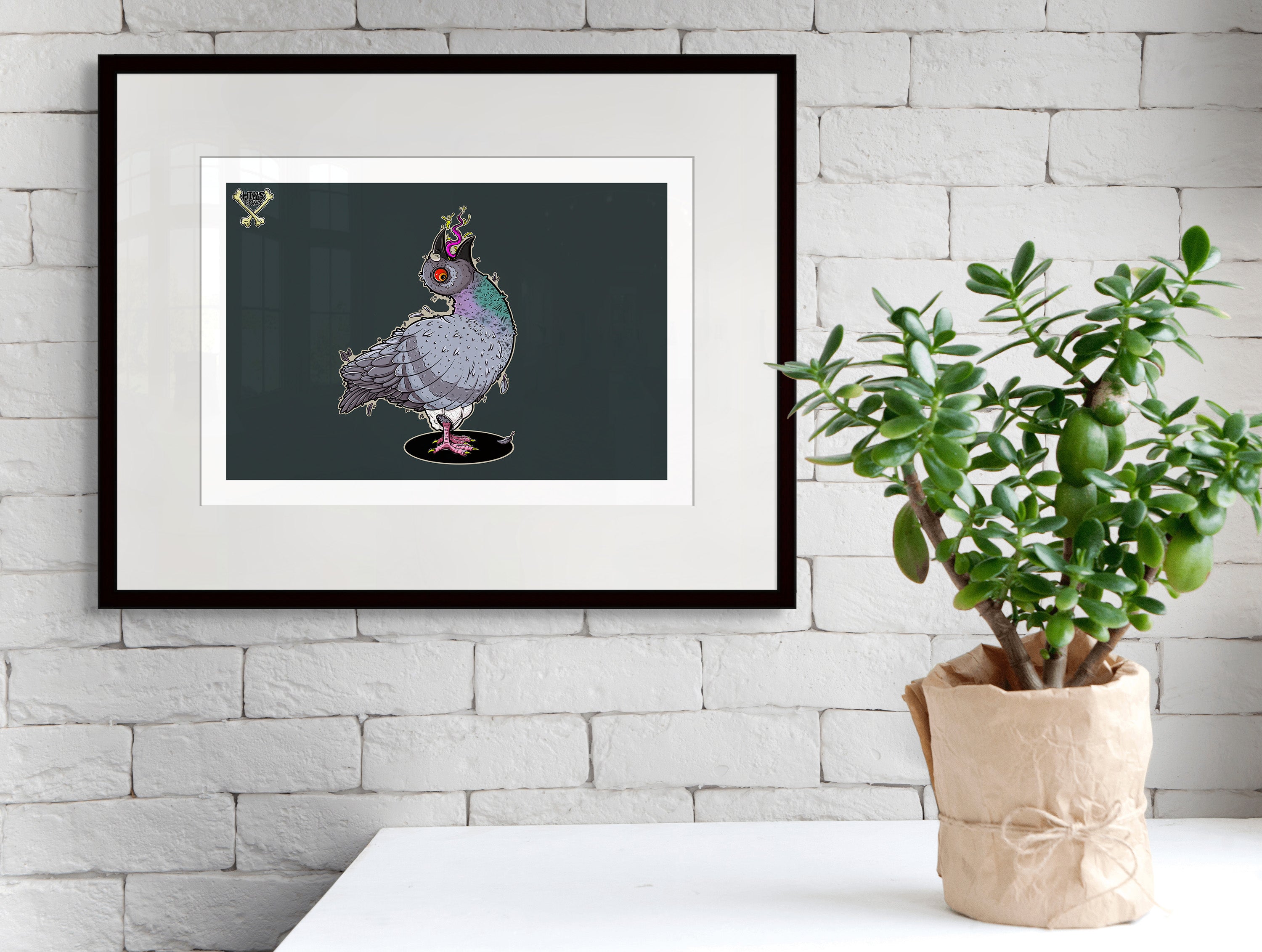 Pigeon By Nick Hills