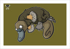 Platypus By Nick Hills