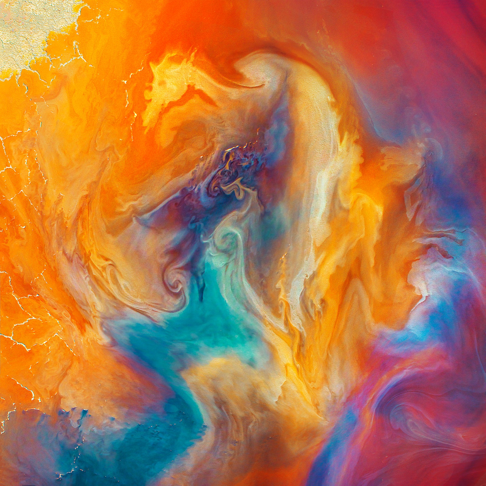 Phoenix Rising by Paul Hoelen