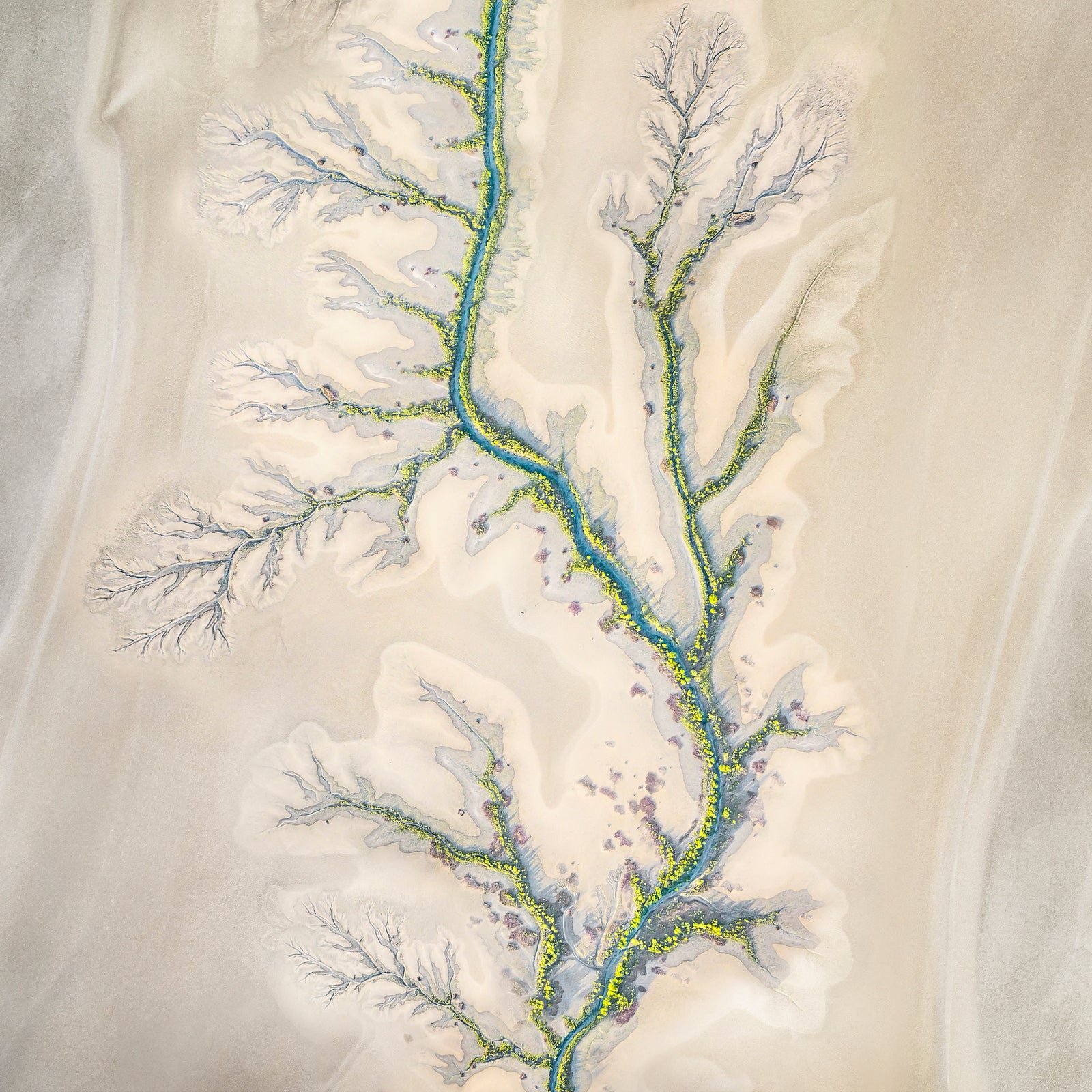 Fractal by Paul Hoelen