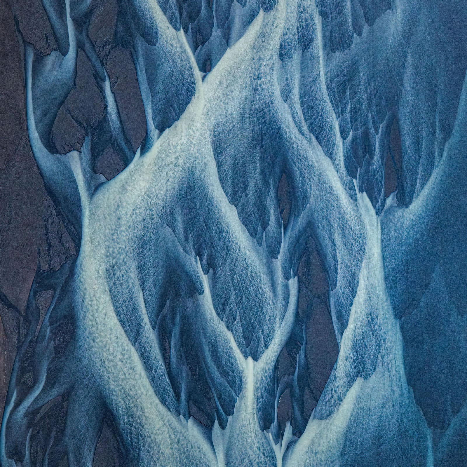 Ice Flower by Paul Hoelen