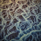 Intertwined by Paul Hoelen