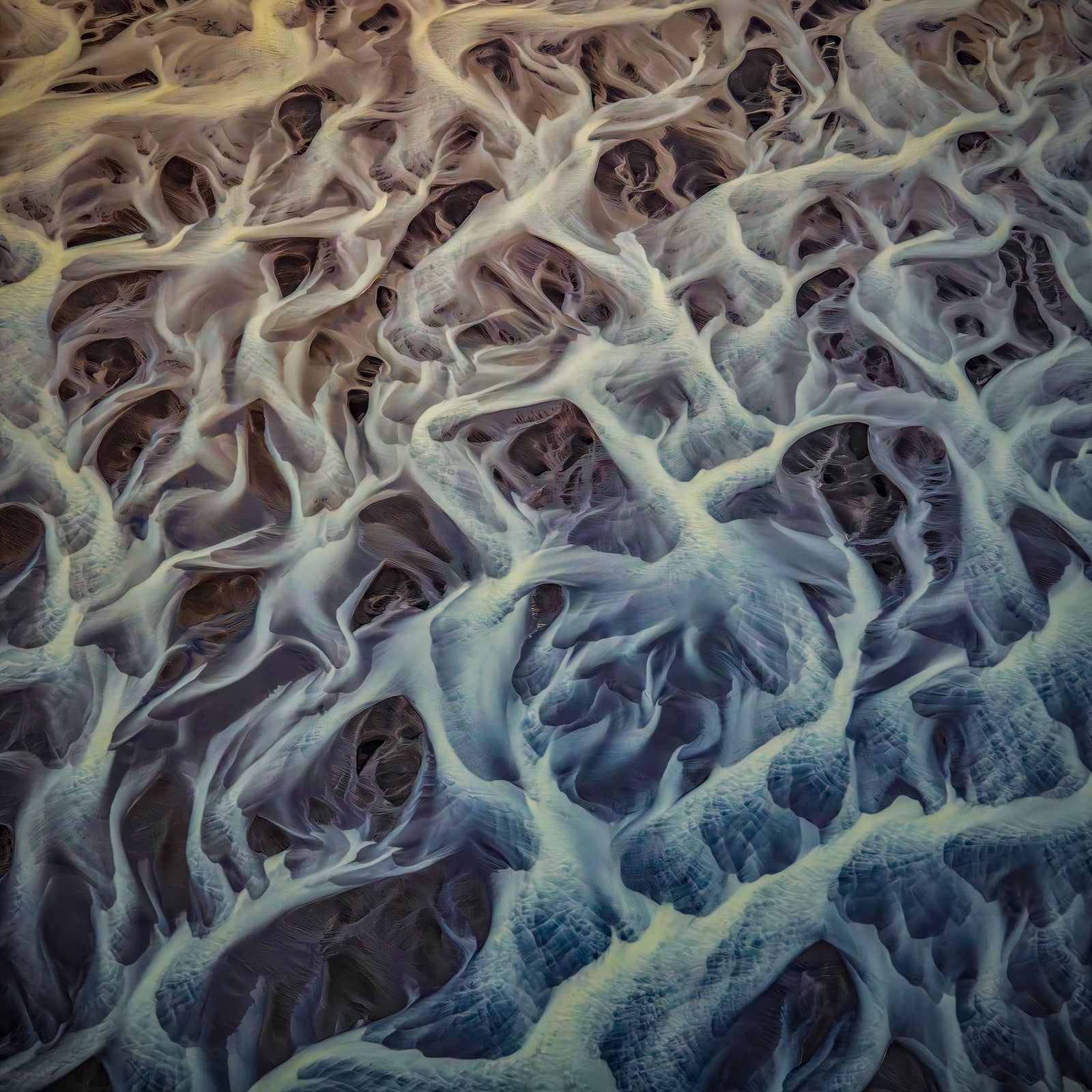 Intertwined by Paul Hoelen