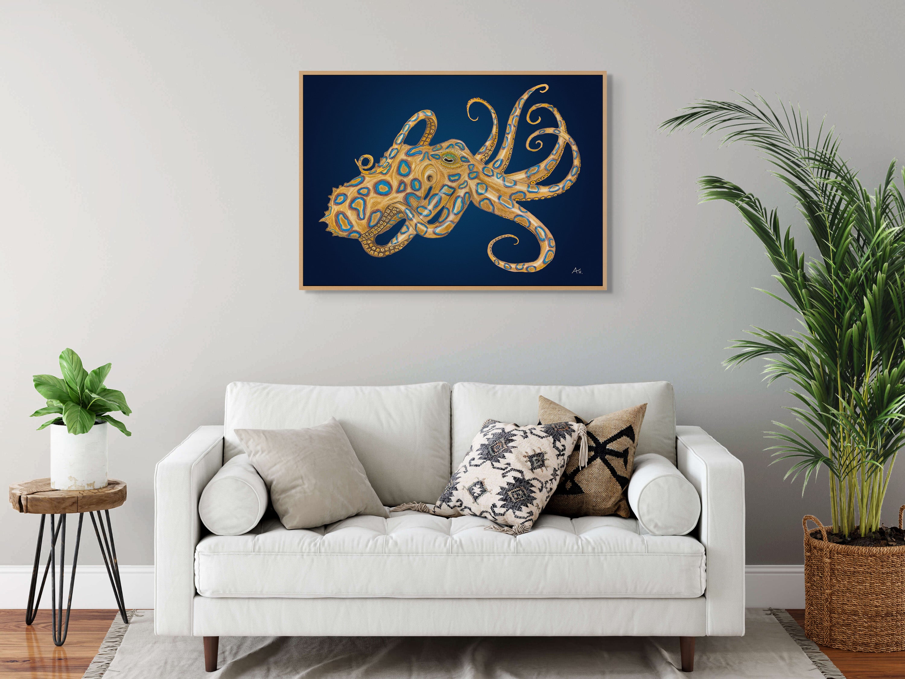 Blue Ringed octopus by Andy Hoggins