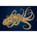 Blue Ringed octopus by Andy Hoggins