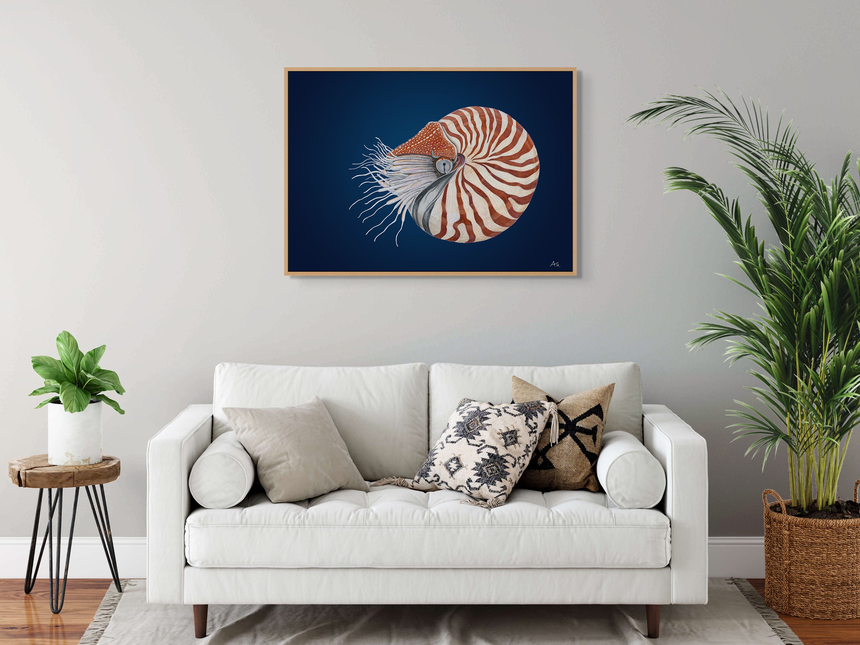 Chambered Nautilus by Andy Hoggins