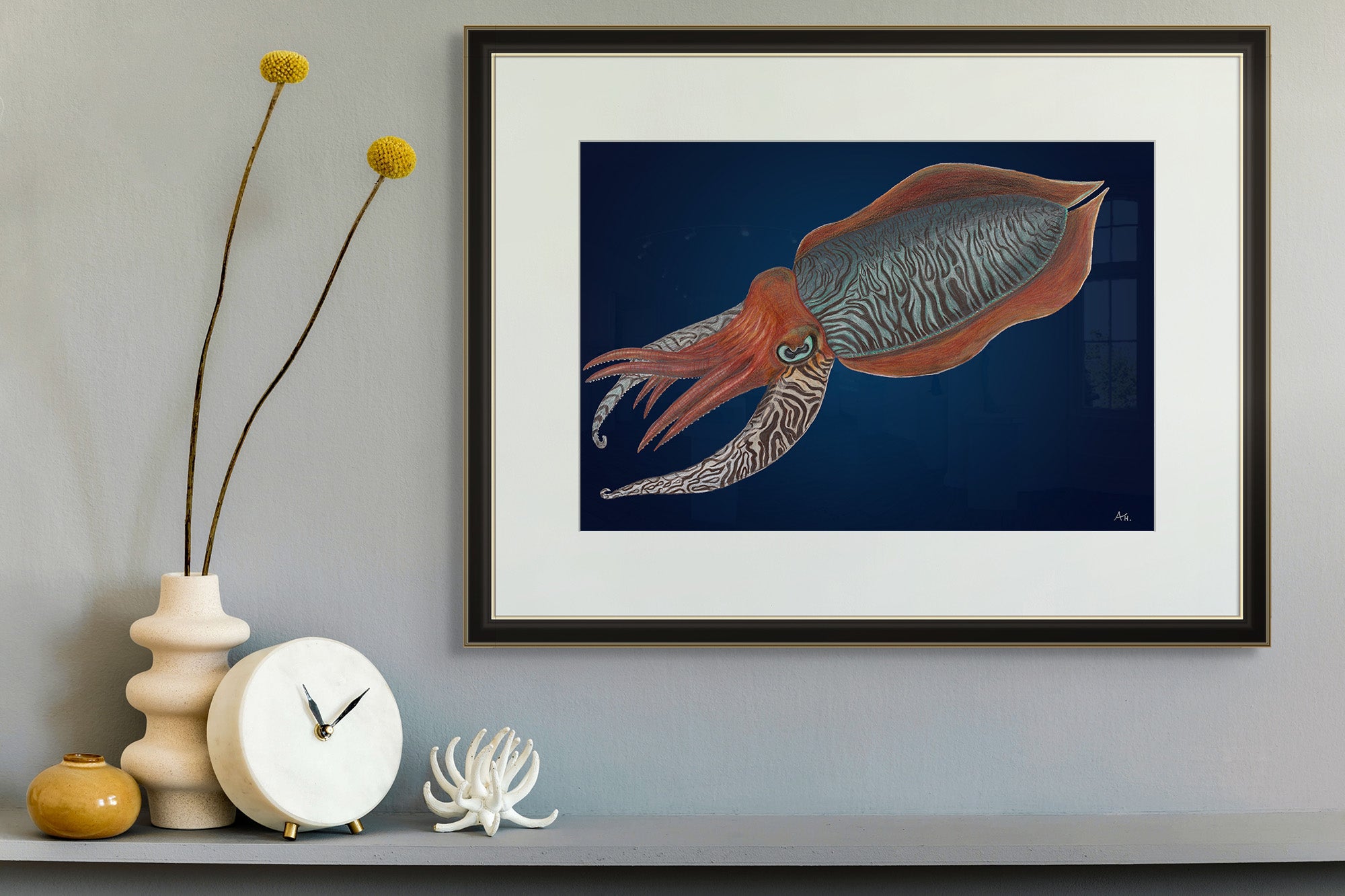 Cuttlefish by Andy Hoggins