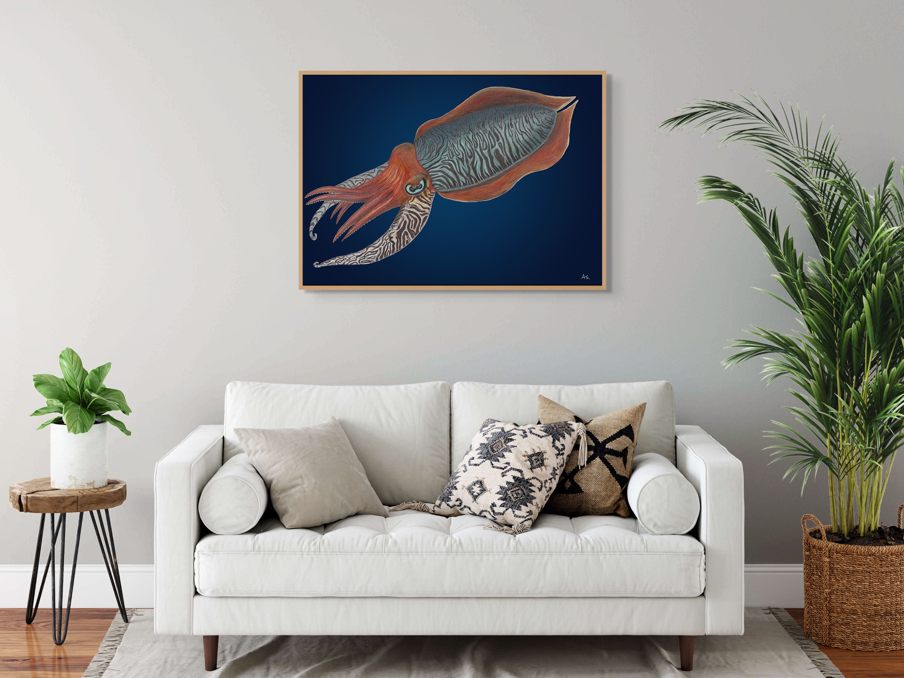 Cuttlefish by Andy Hoggins