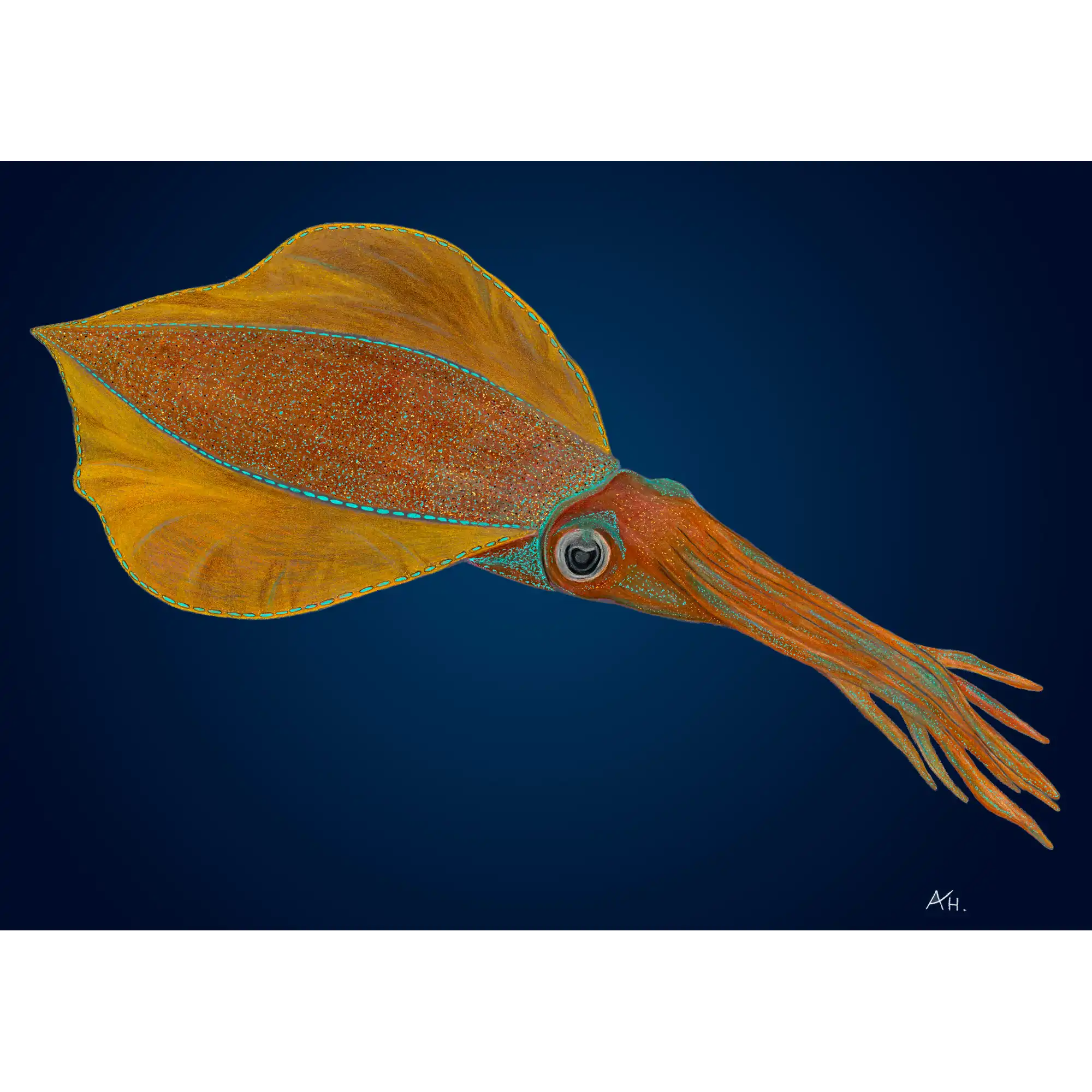 Southern Calamari by Andy Hoggins