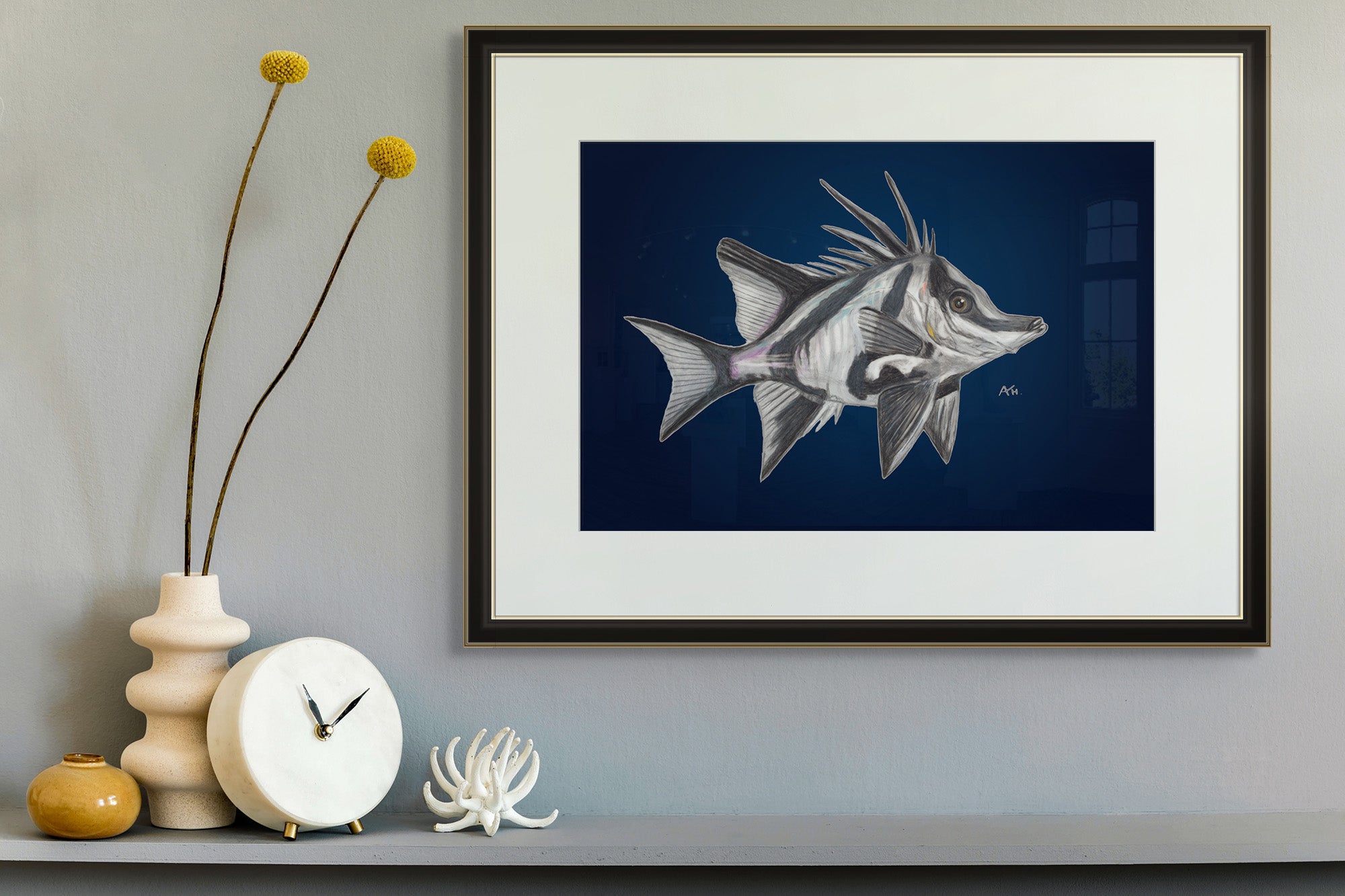 Tasmania Boarfish by Andy Hoggins