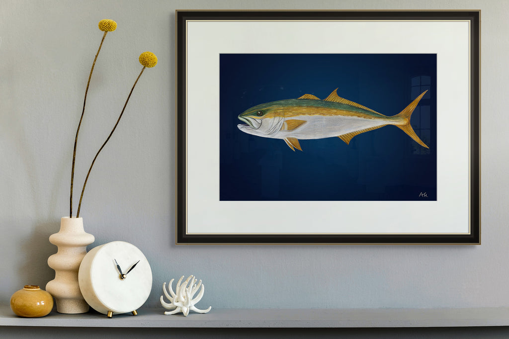 Yellowtail Kingfish by Andy Hoggins