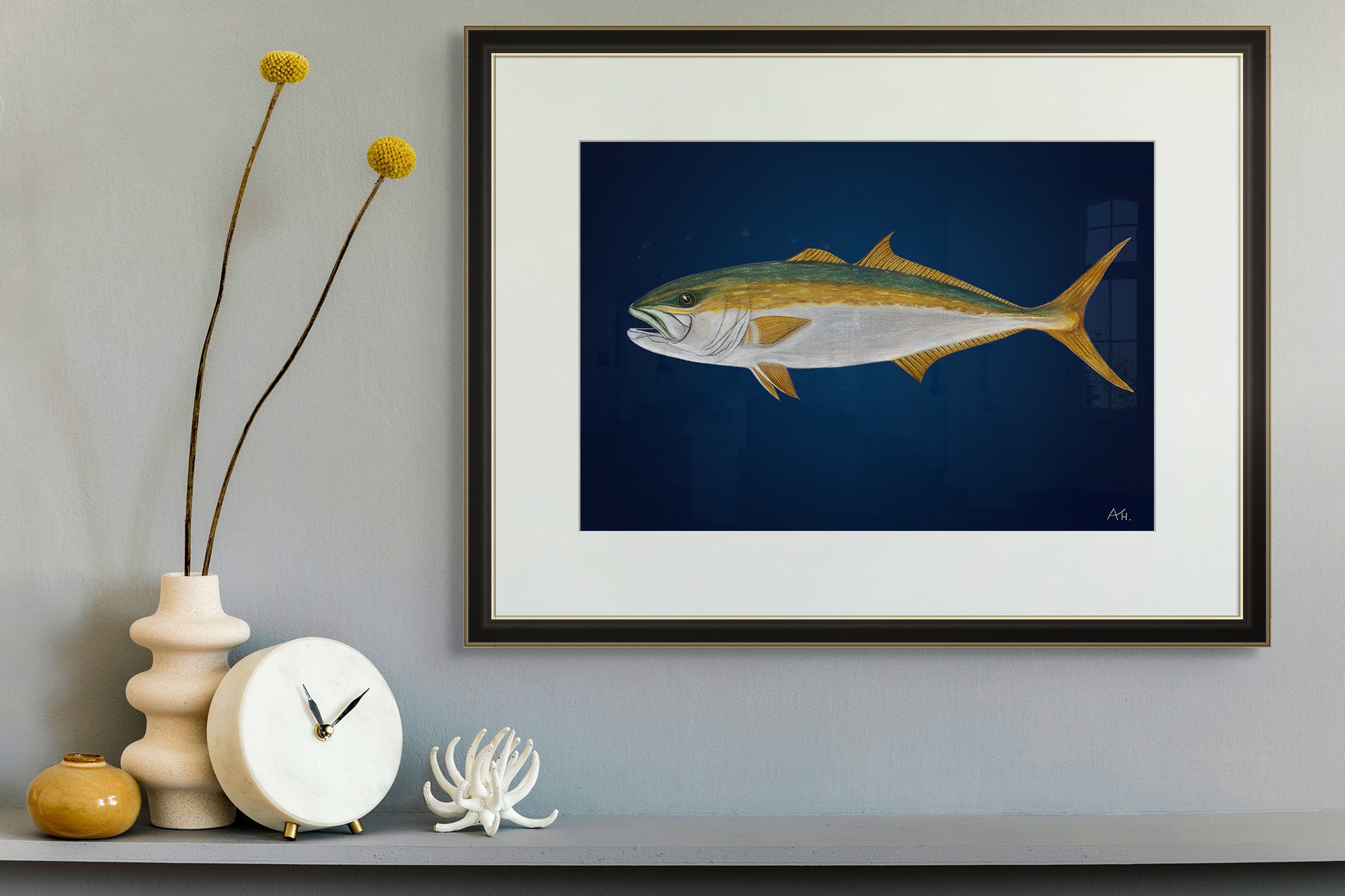 Yellowtail Kingfish by Andy Hoggins