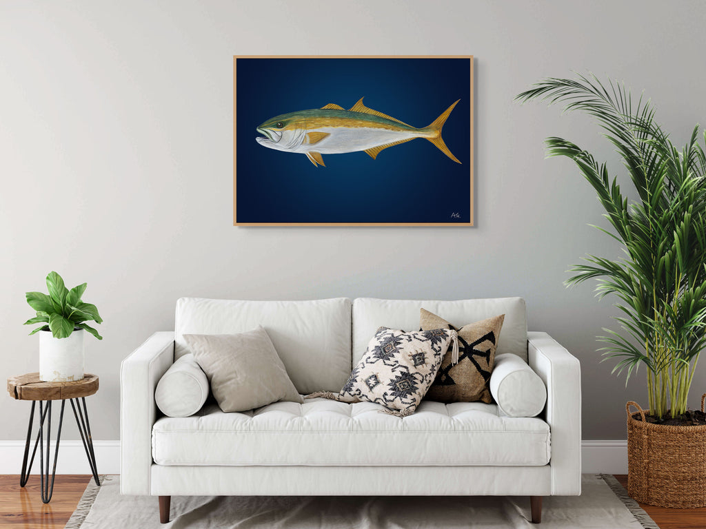 Yellowtail Kingfish by Andy Hoggins