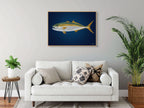 Yellowtail Kingfish by Andy Hoggins