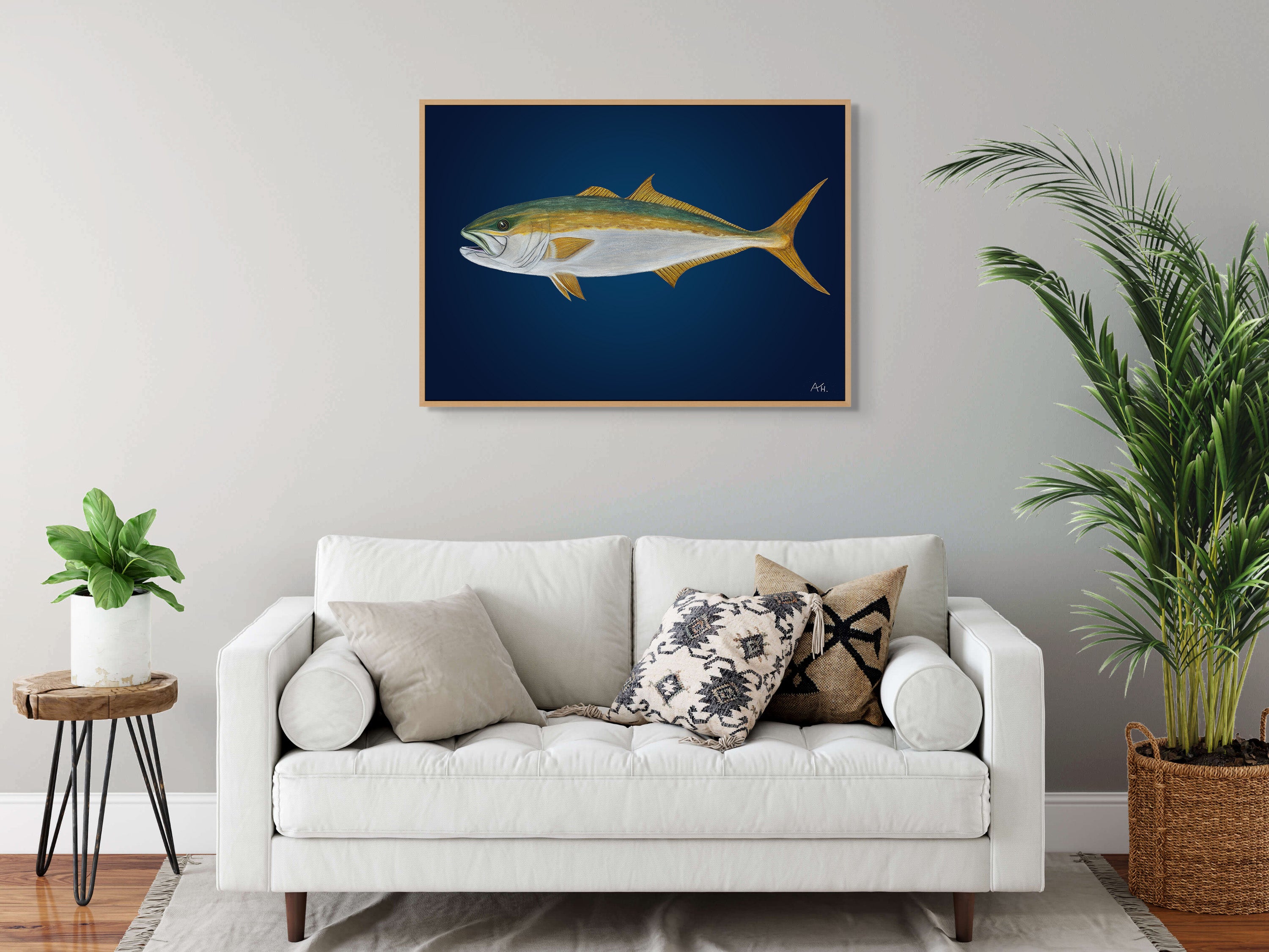 Yellowtail Kingfish by Andy Hoggins