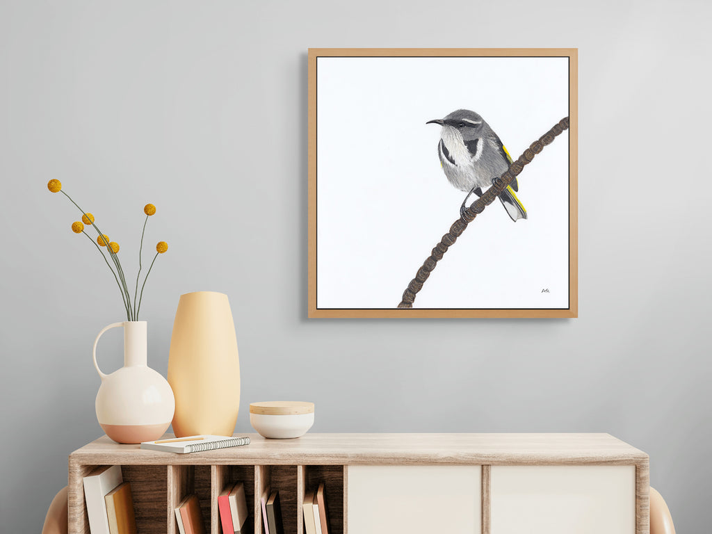 Crescent Honeyeater -Moon Shadow - The Fires of Home by Andy Hoggins