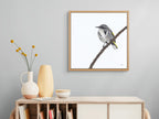 Crescent Honeyeater -Moon Shadow - The Fires of Home by Andy Hoggins