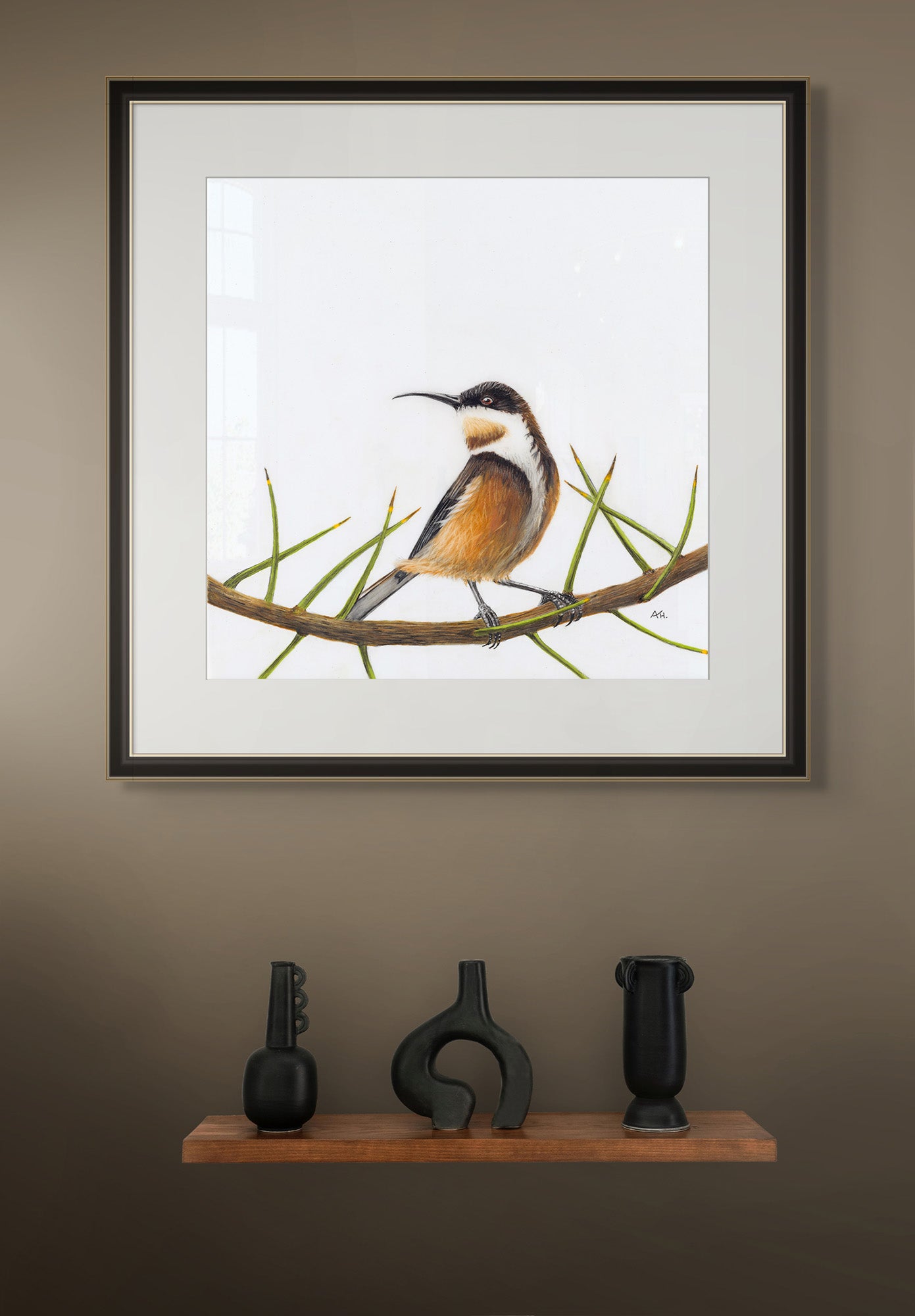 Eastern Spinebill - Friend of Lewis - The Fires of Home by Andy Hoggins