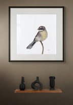 Grey Fantail - A Visit From a Loved One by Andy Hoggins