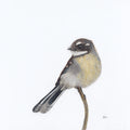 Grey Fantail - A Visit From a Loved One by Andy Hoggins
