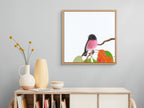 Pink Robin - Perseverance in Pink by Andy Hoggins