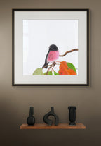 Pink Robin - Perseverance in Pink by Andy Hoggins