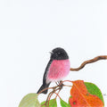 Pink Robin - Perseverance in Pink by Andy Hoggins