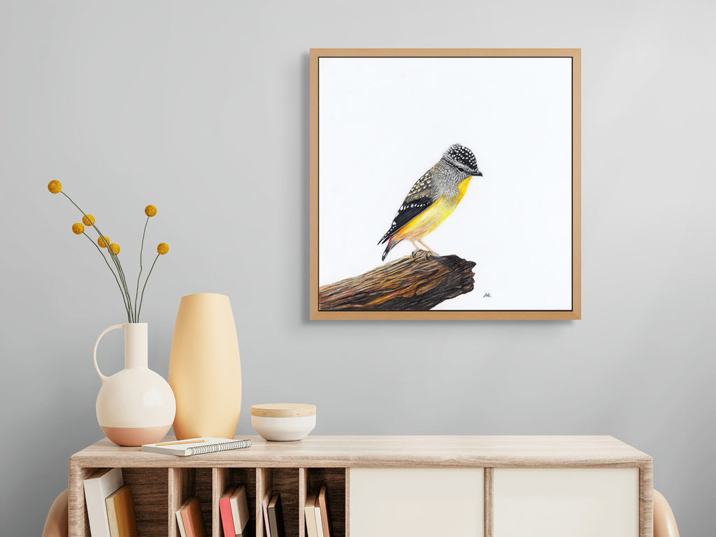 Spotted Pardalote - A Room With a View by Andy Hoggins