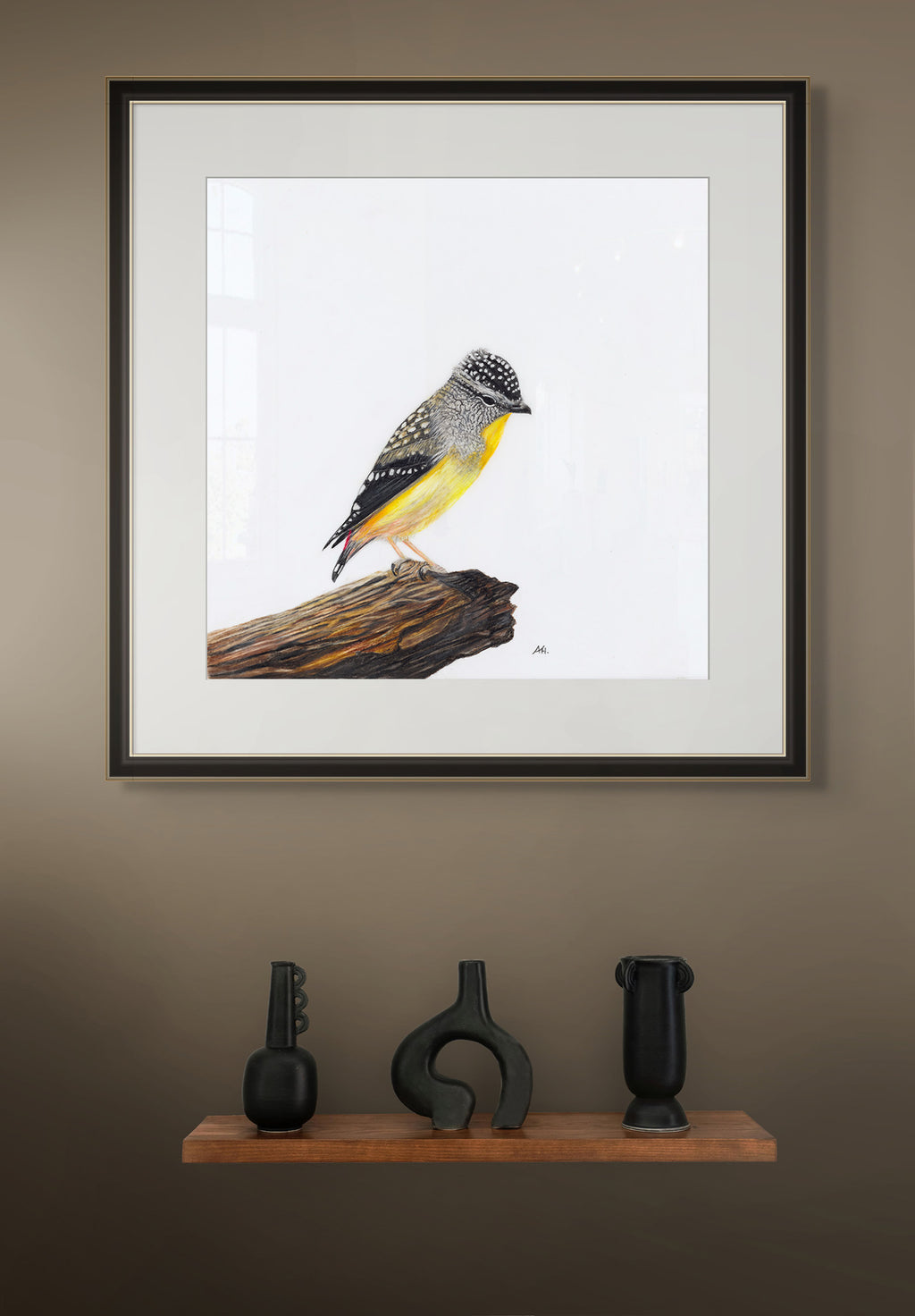 Spotted Pardalote - A Room With a View by Andy Hoggins