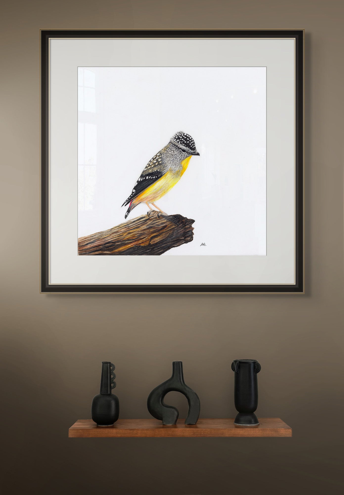 Spotted Pardalote - A Room With a View by Andy Hoggins