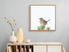 Striated Field Wren - Out of Sight, Out of Mind by Andy Hoggins