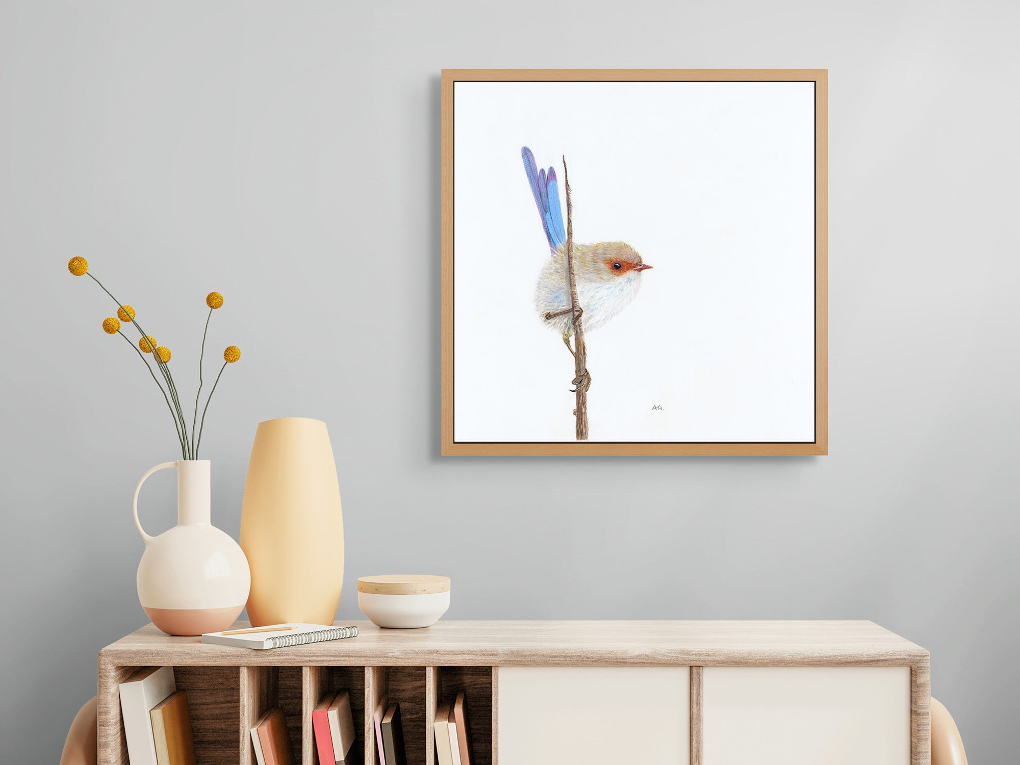 Superb Fairy Wren, Male - Promiscuity by Andy Hoggins