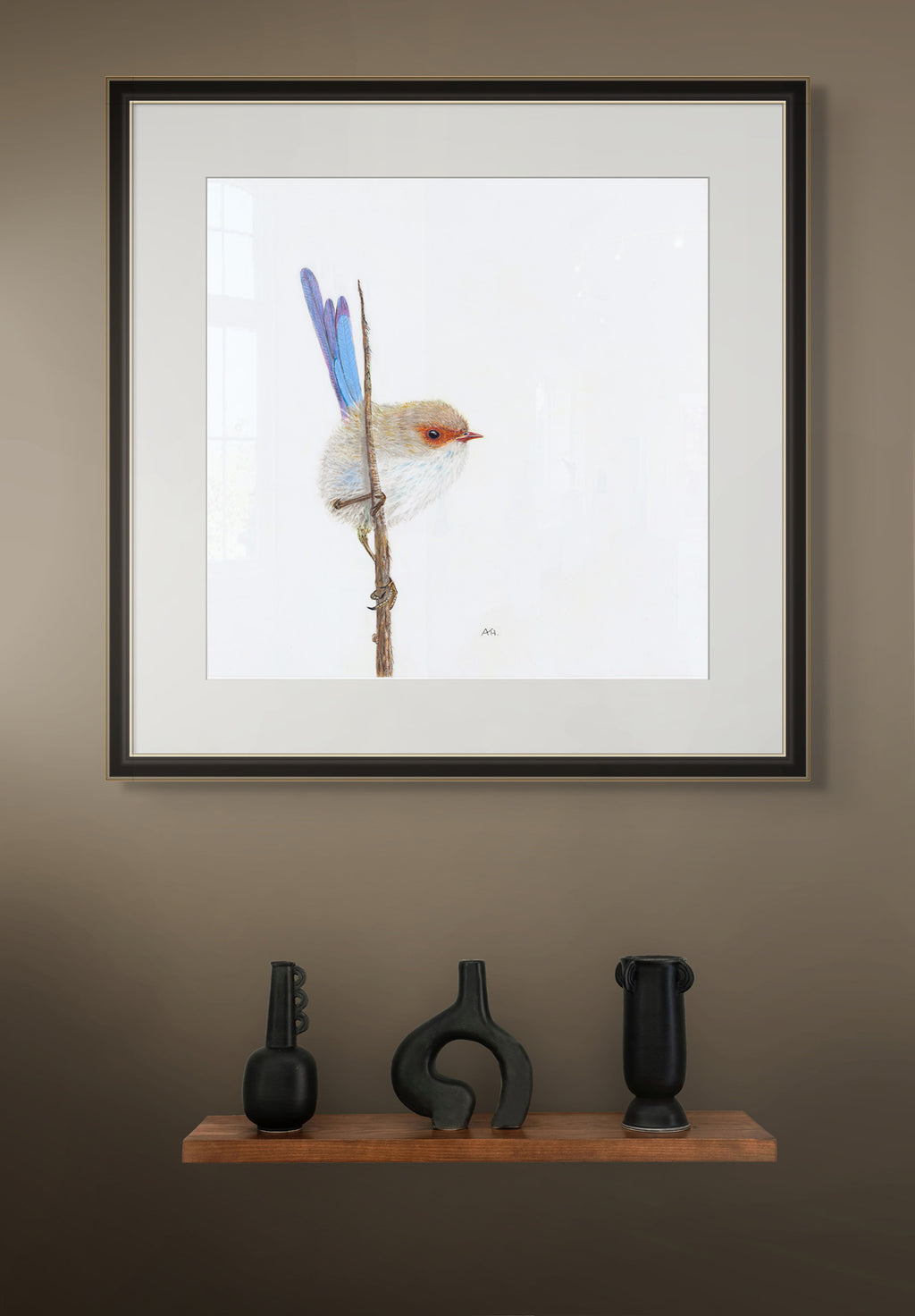 Superb Fairy Wren, Male - Promiscuity by Andy Hoggins