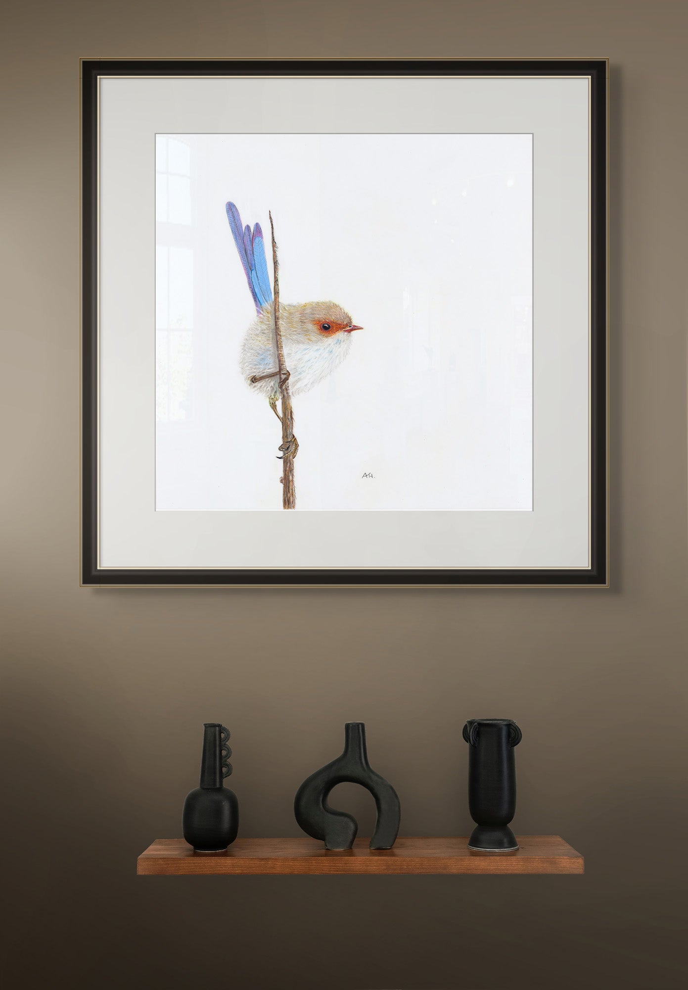 Superb Fairy Wren, Male - Promiscuity by Andy Hoggins