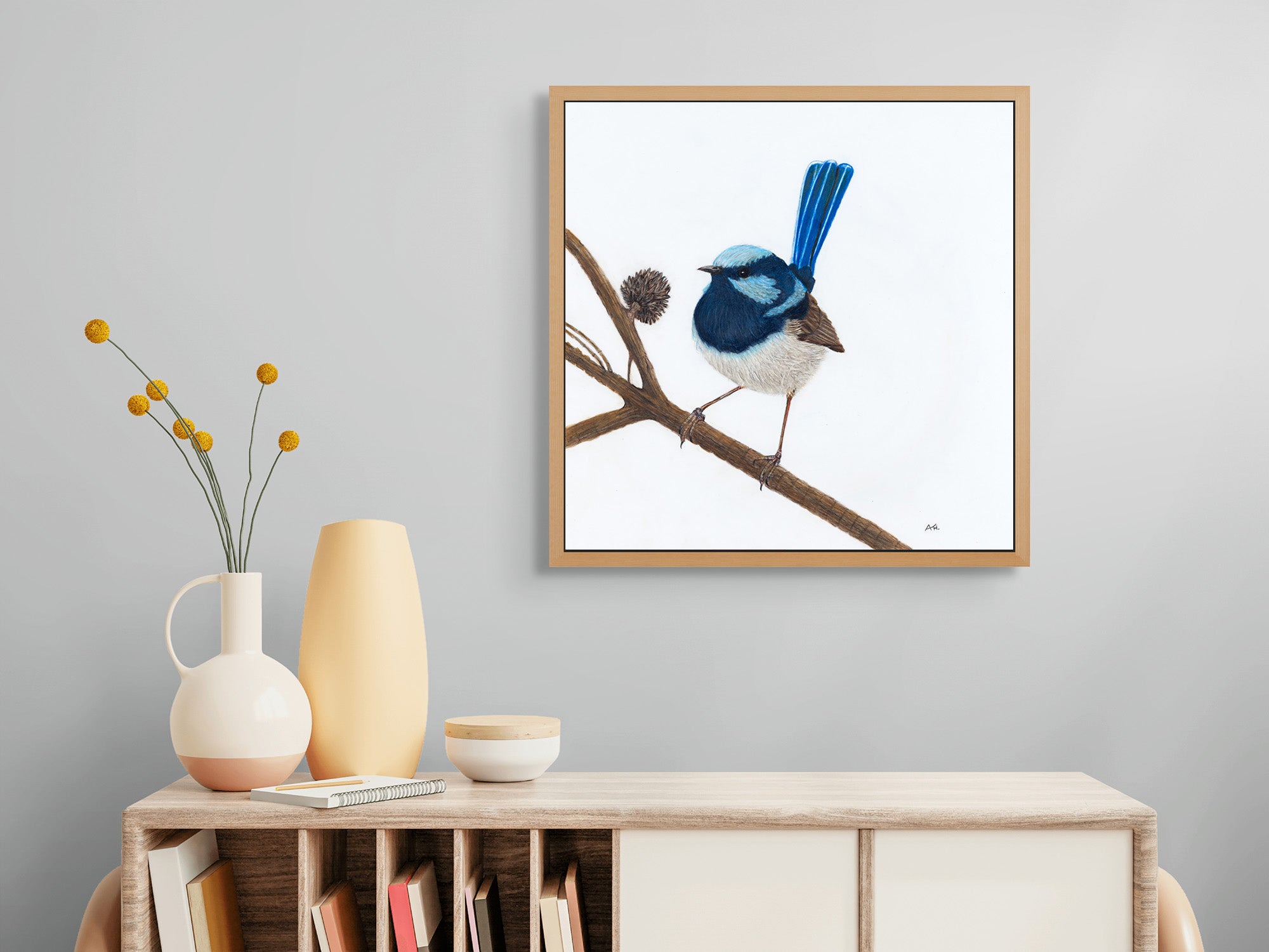 Superb Fairy Wren, Male - Unitika by Andy Hoggins