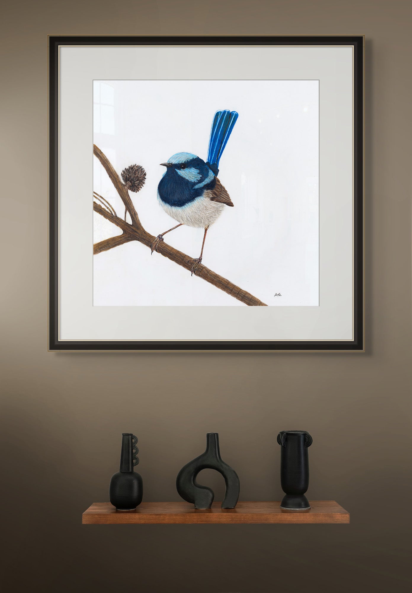 Superb Fairy Wren, Male - Unitika by Andy Hoggins