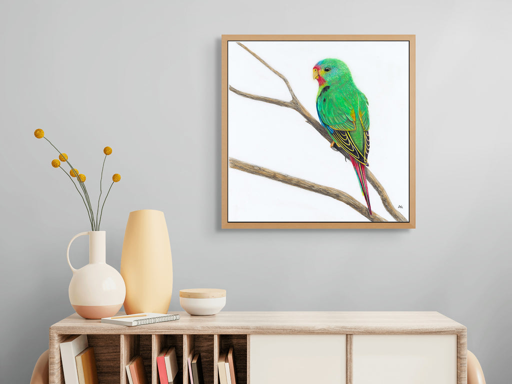 Swift Parrot Juvenile - Not Easy Being Green by Andy Hoggins