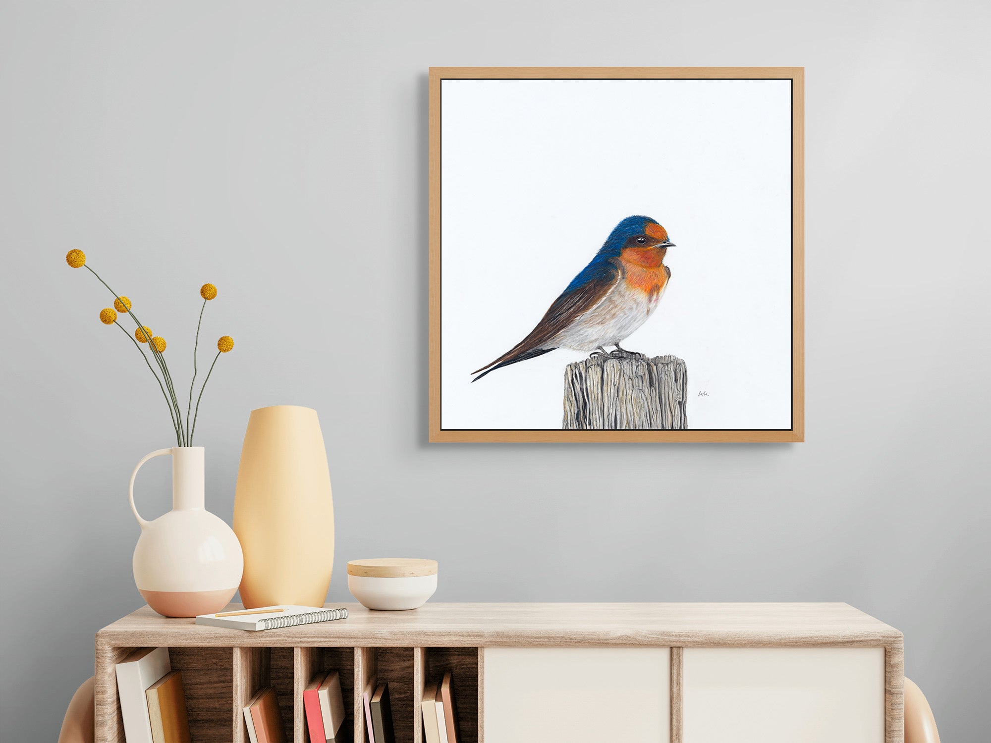 Tasmanian Swallow - A Victorious Moment by Andy Hoggins