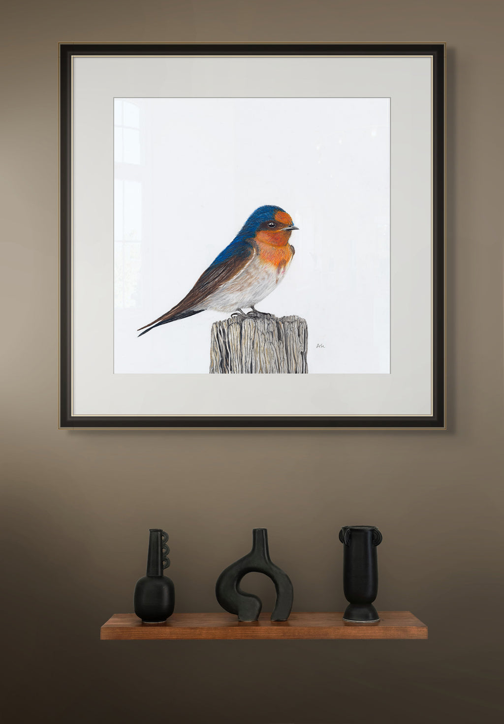 Tasmanian Swallow - A Victorious Moment by Andy Hoggins