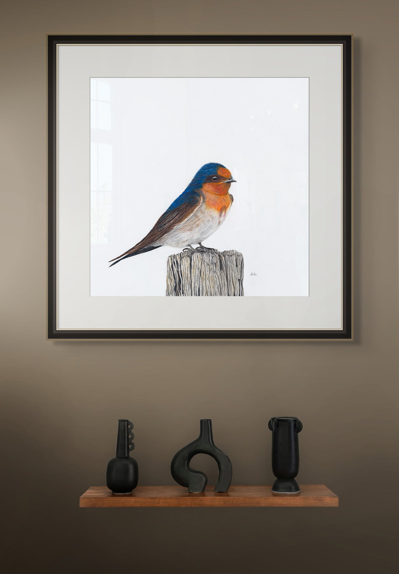 Tasmanian Swallow - A Victorious Moment by Andy Hoggins