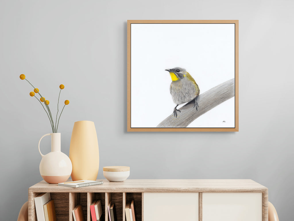 Yellow Throated Honeyeater - Appreciation of Peace by Andy Hoggins
