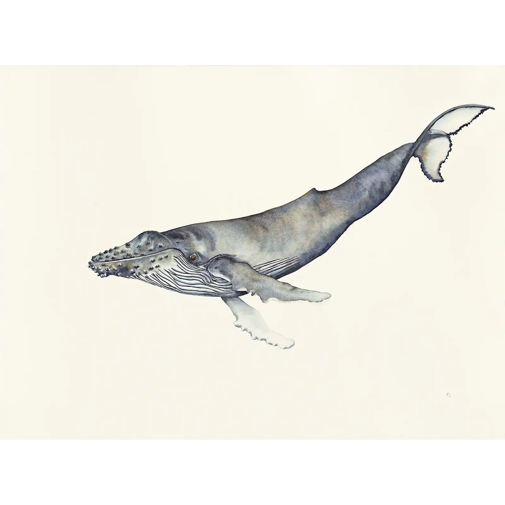 Weightless by Patricia Hopwood-Wade