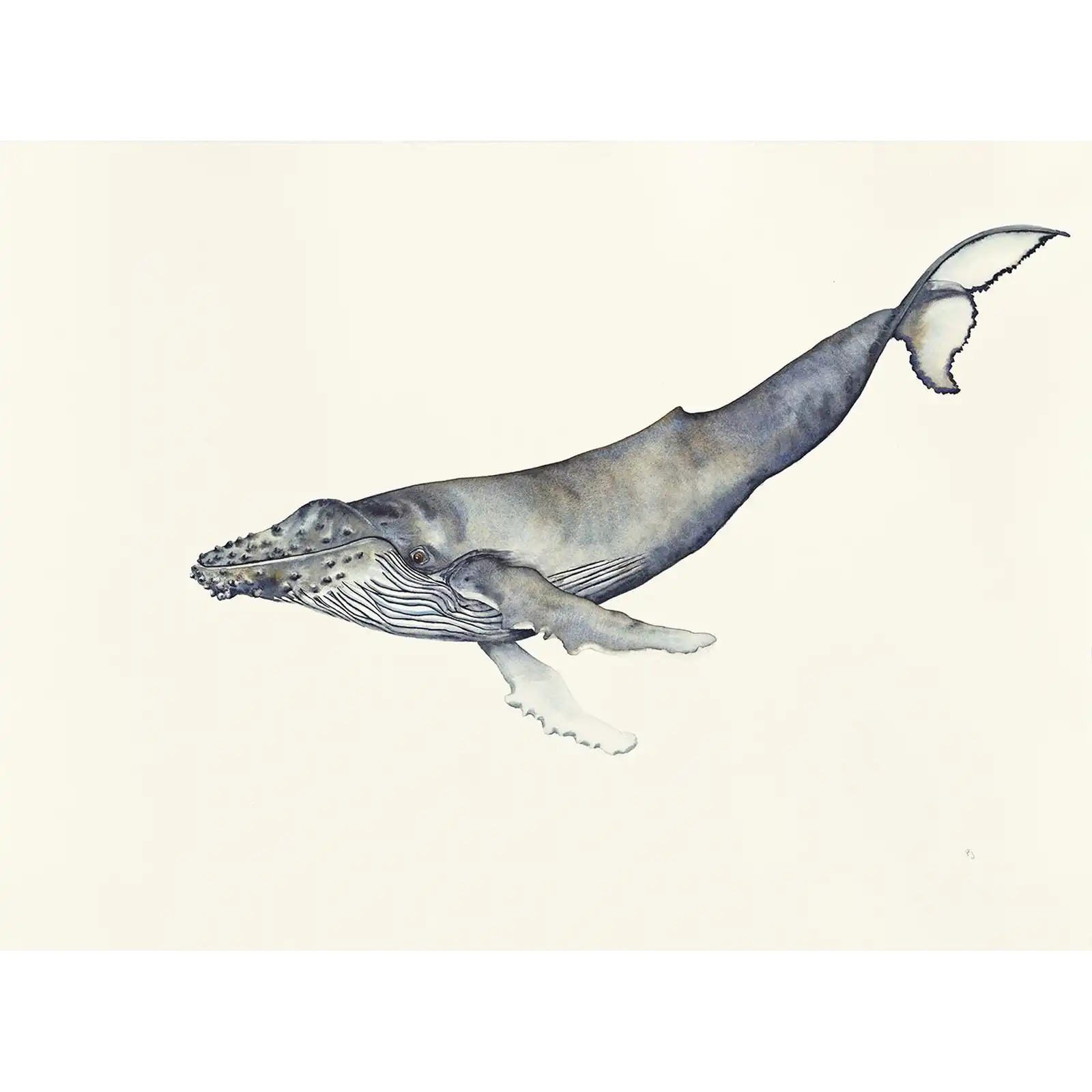 Weightless by Patricia Hopwood-Wade