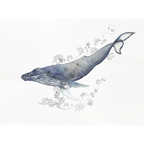 Sea Life by Patricia Hopwood-Wade