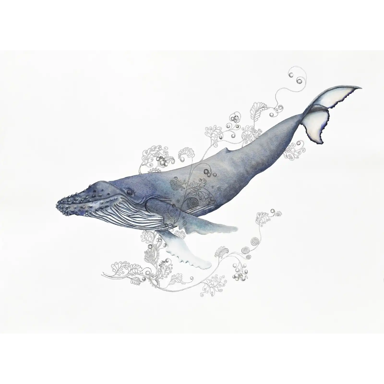 Sea Life by Patricia Hopwood-Wade