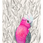 Rosy Demeanour by Patricia Hopwood-Wade