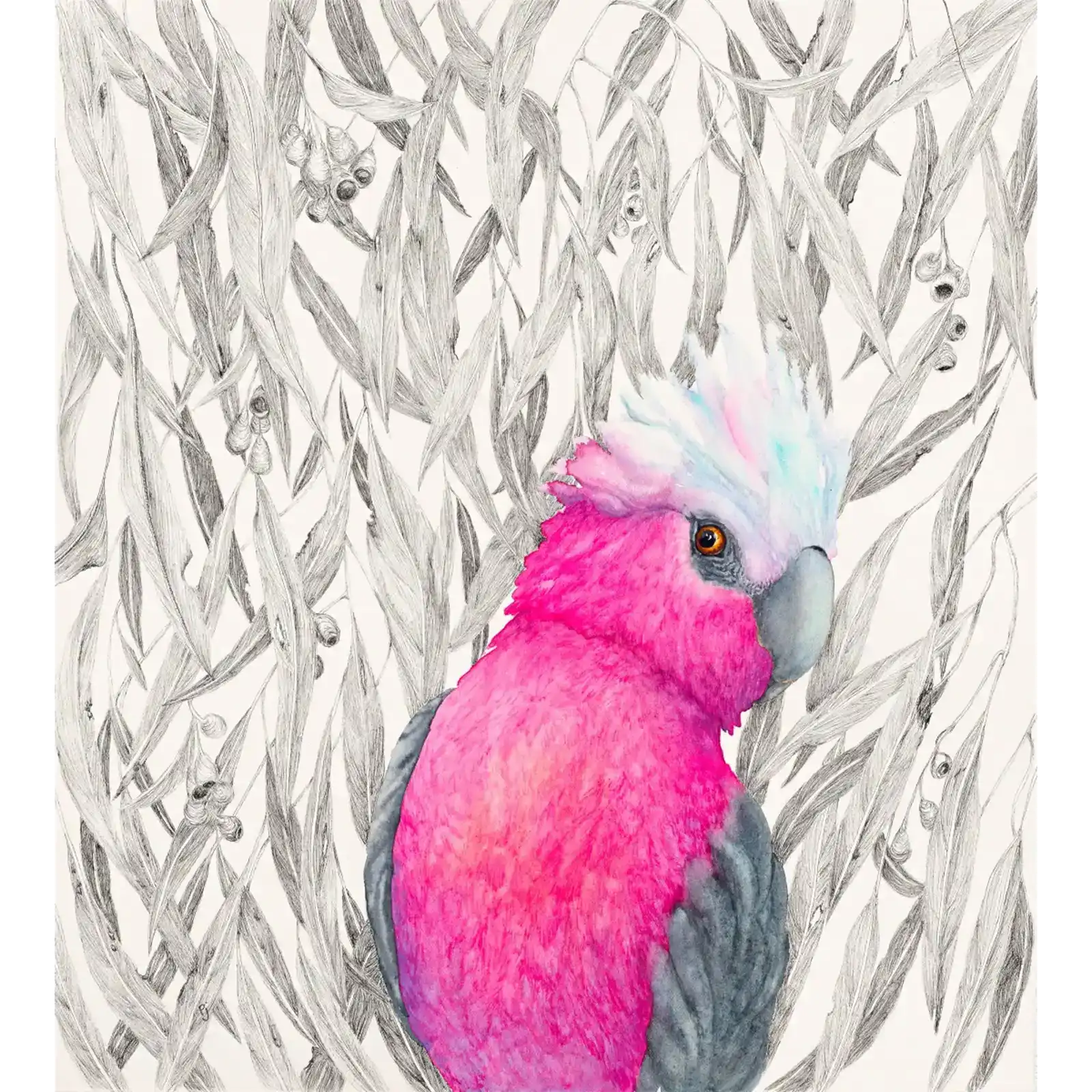 Rosy Demeanour by Patricia Hopwood-Wade