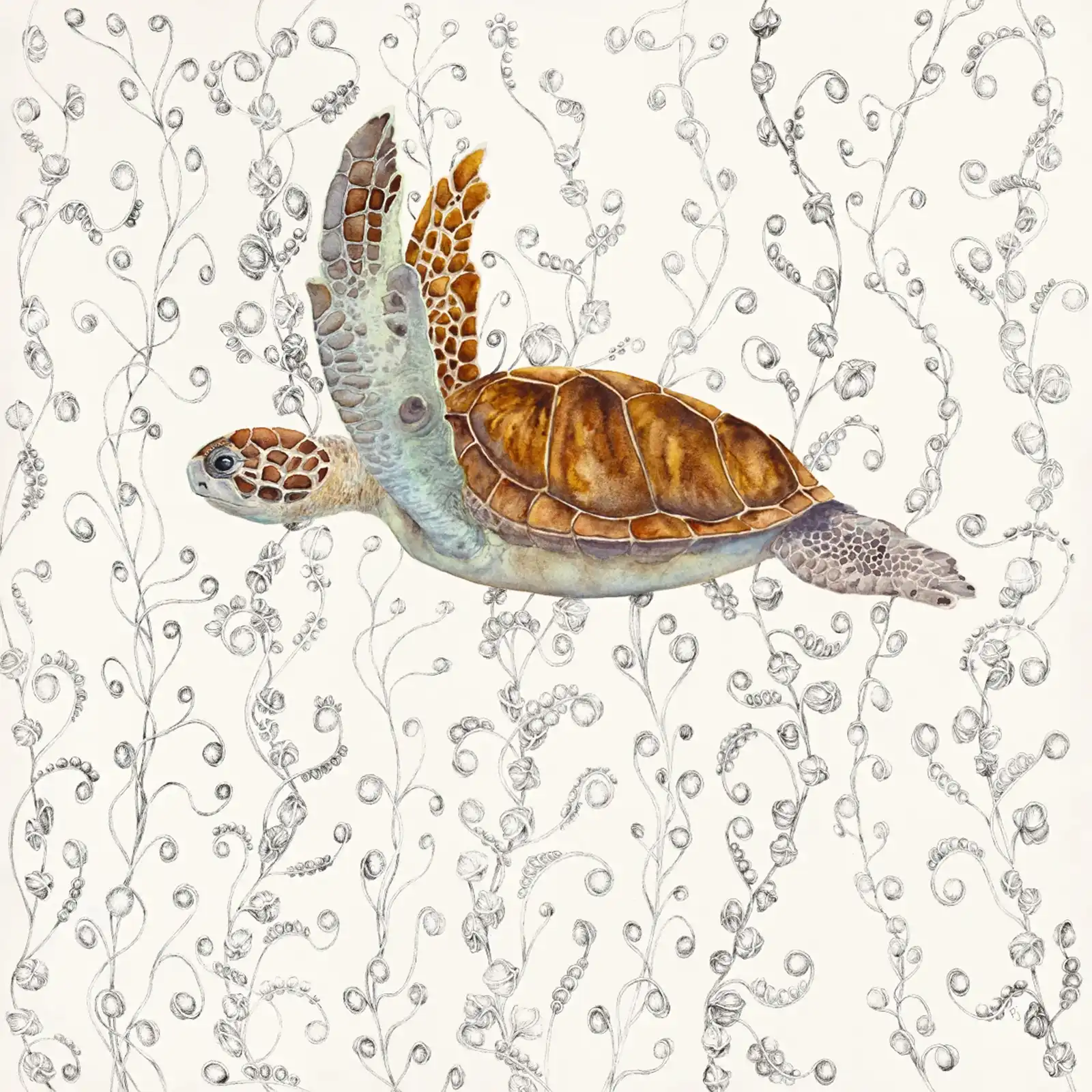 Gliding by Patricia Hopwood-Wade