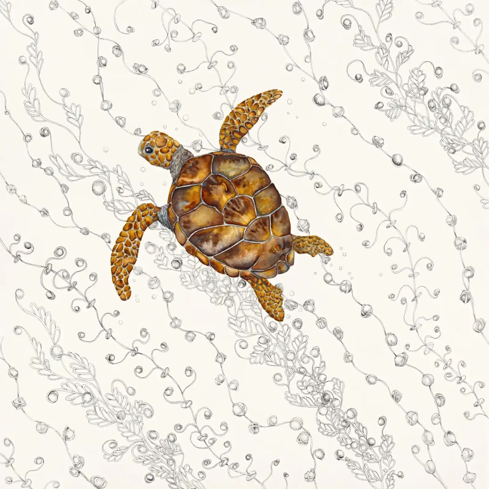 Under the Sea by Patricia Hopwood-Wade